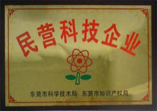 民营科技企业