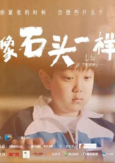 最佳剧情奖《像石头一样》