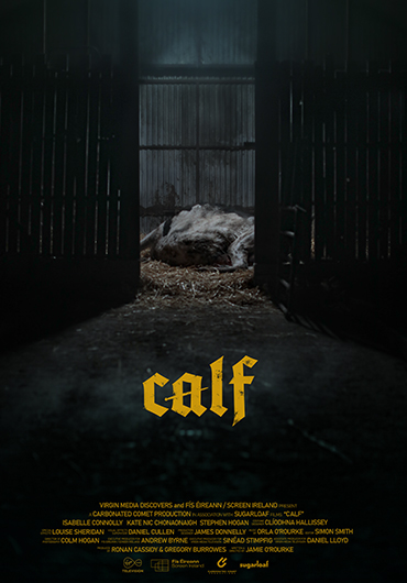 获奖：《小牛》Calf（国际）