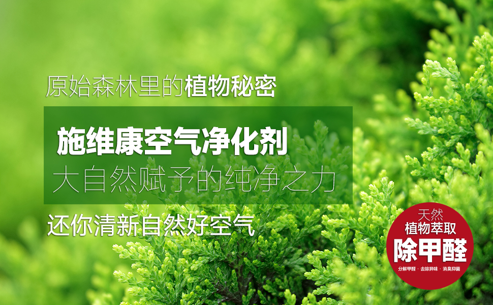 图片展示