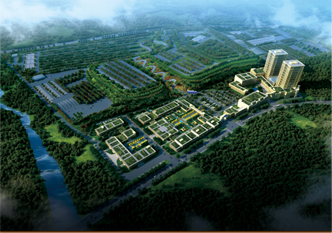 图片展示