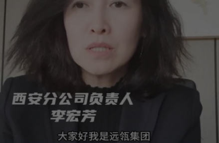 图片展示