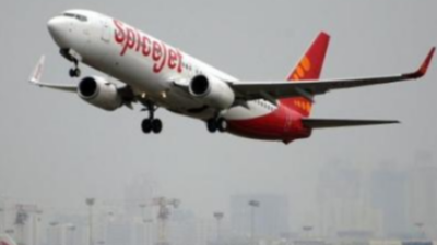 Winsky global logistics－Sempati Air