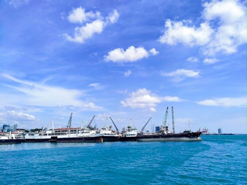 Import Services