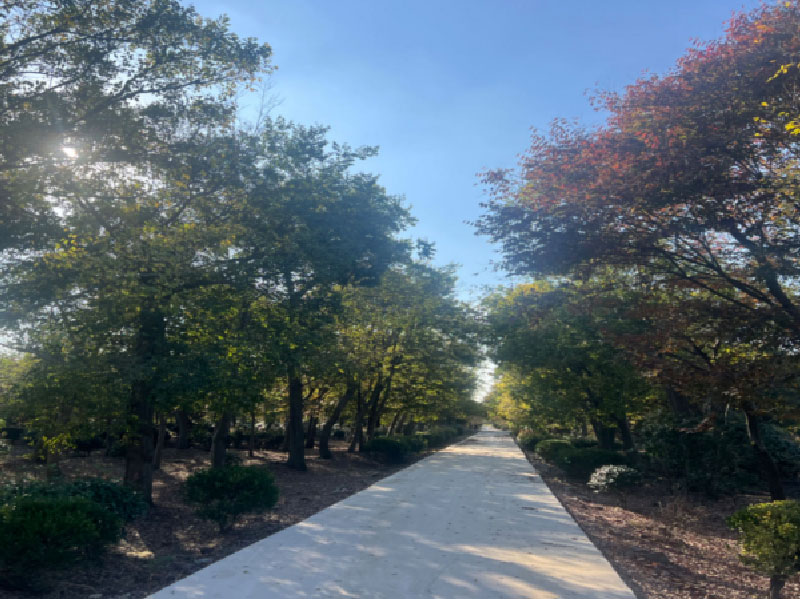 苗圃基地