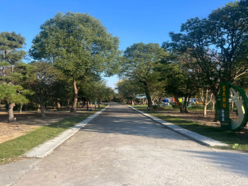 苗圃基地