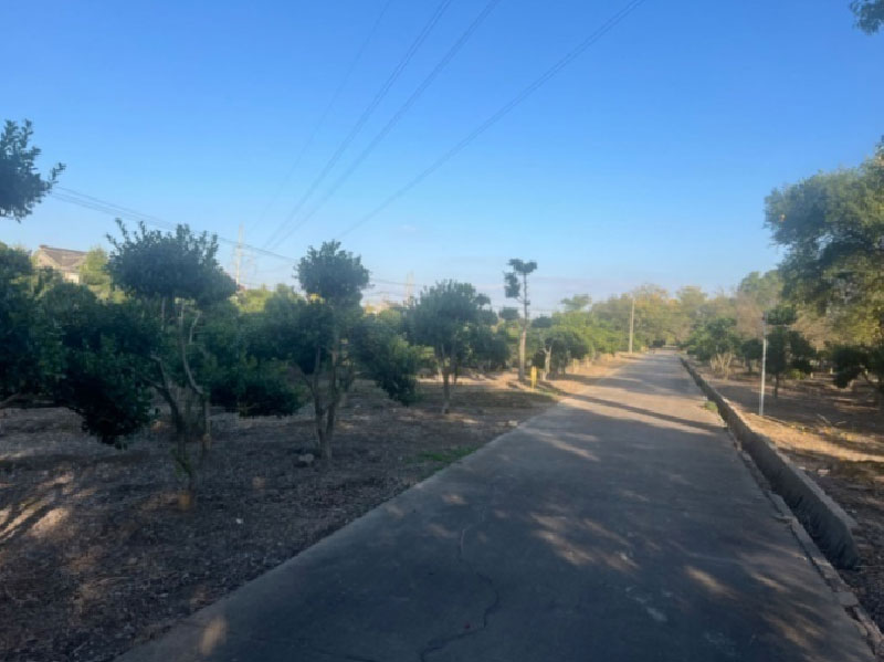 苗圃基地