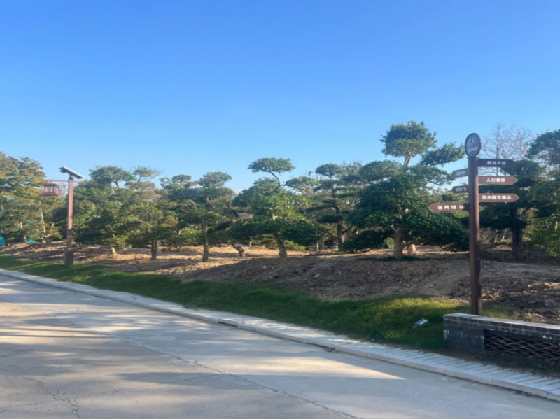 苗圃基地