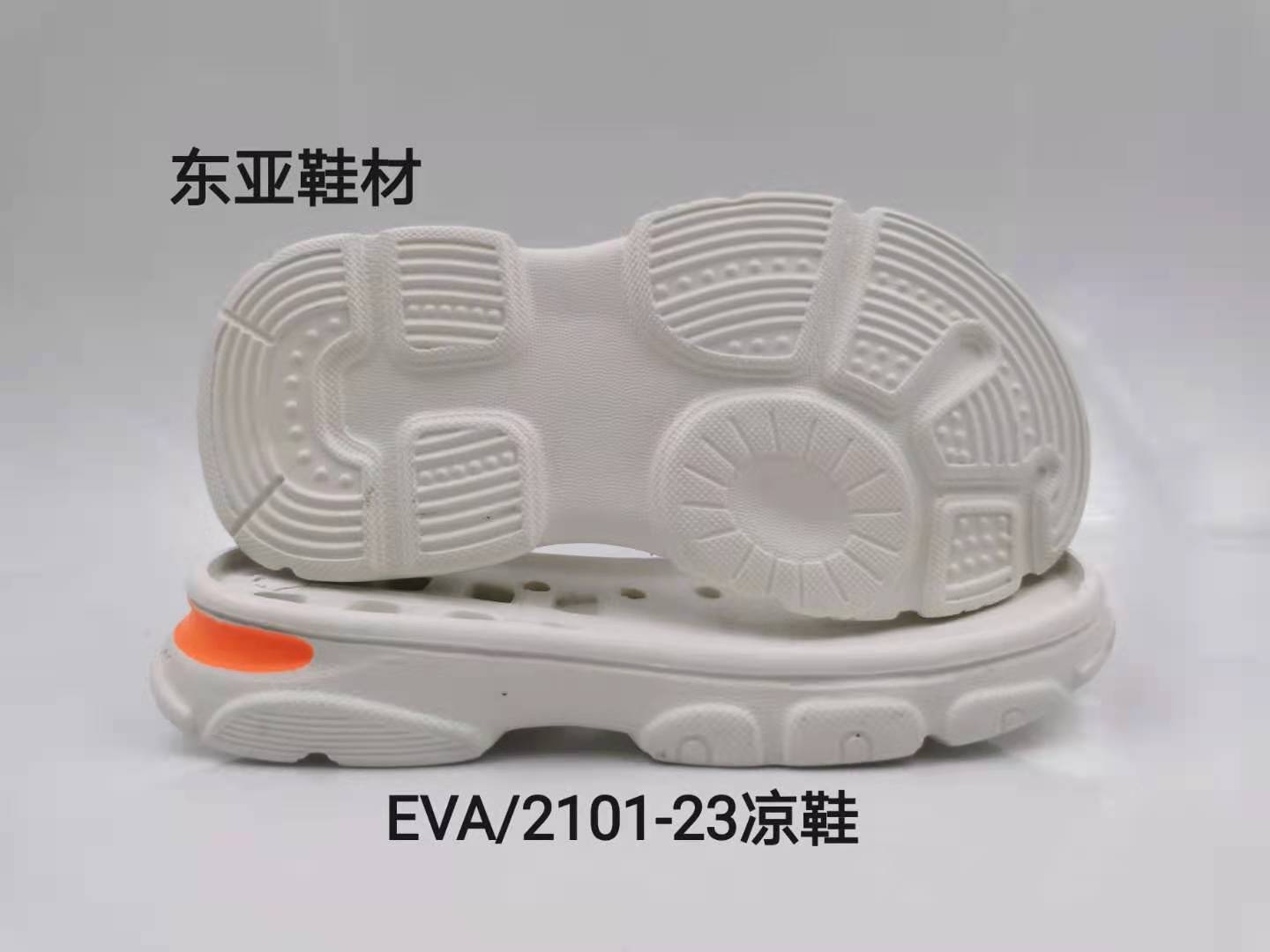 EVA2101-23