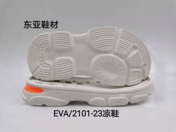 EVA2101-23