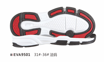 EVA9501-31-36