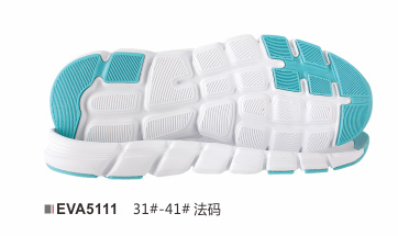 EVA5111-31-41