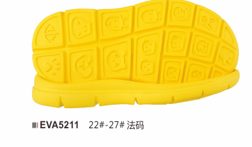 EVA5211-22-27