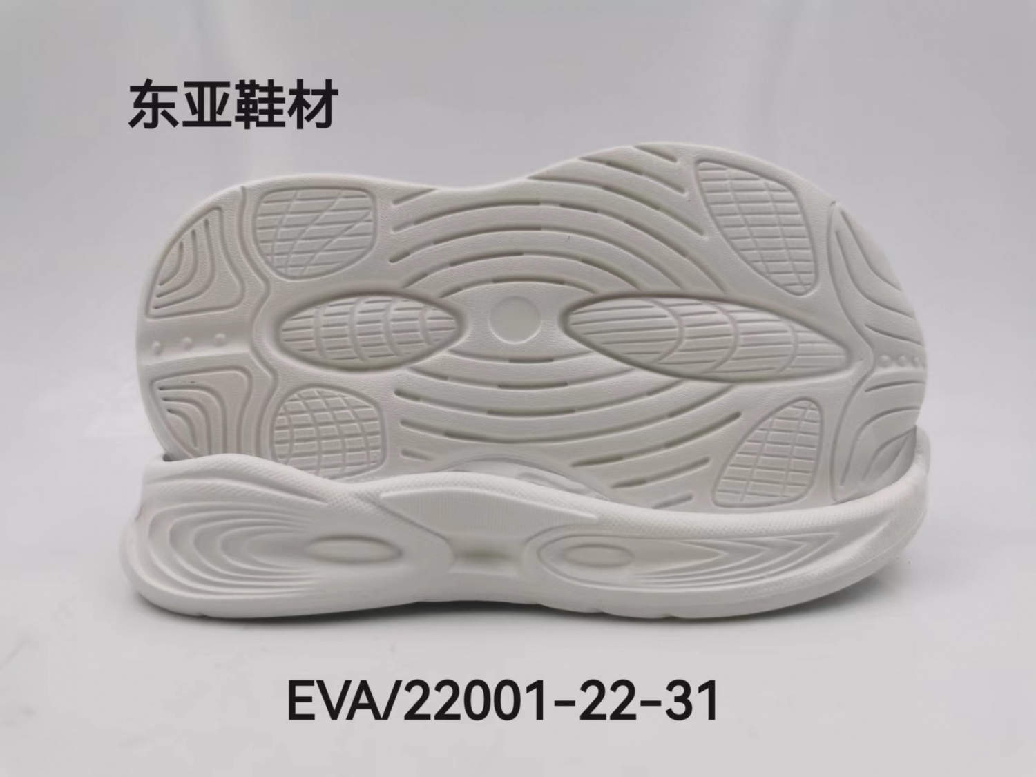 EVA22001-22-31