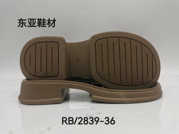RB2839-36