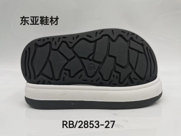 RB2853-27