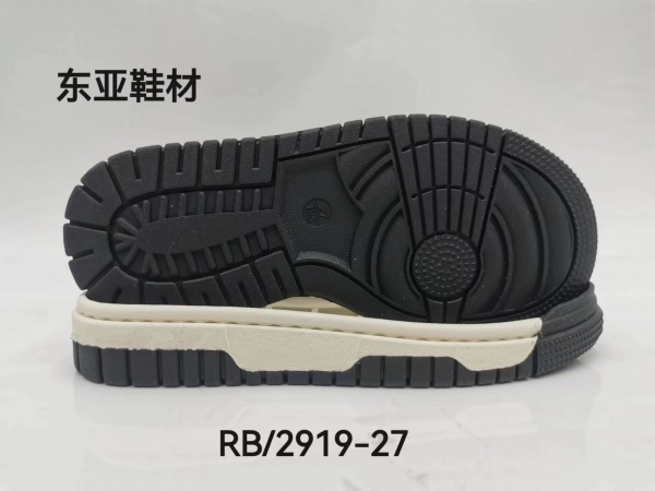 RB2919-27