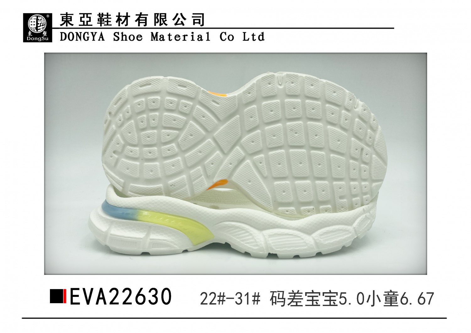 EVA22630-22-31