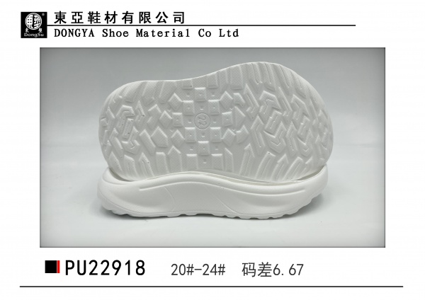 PU22918-20-24