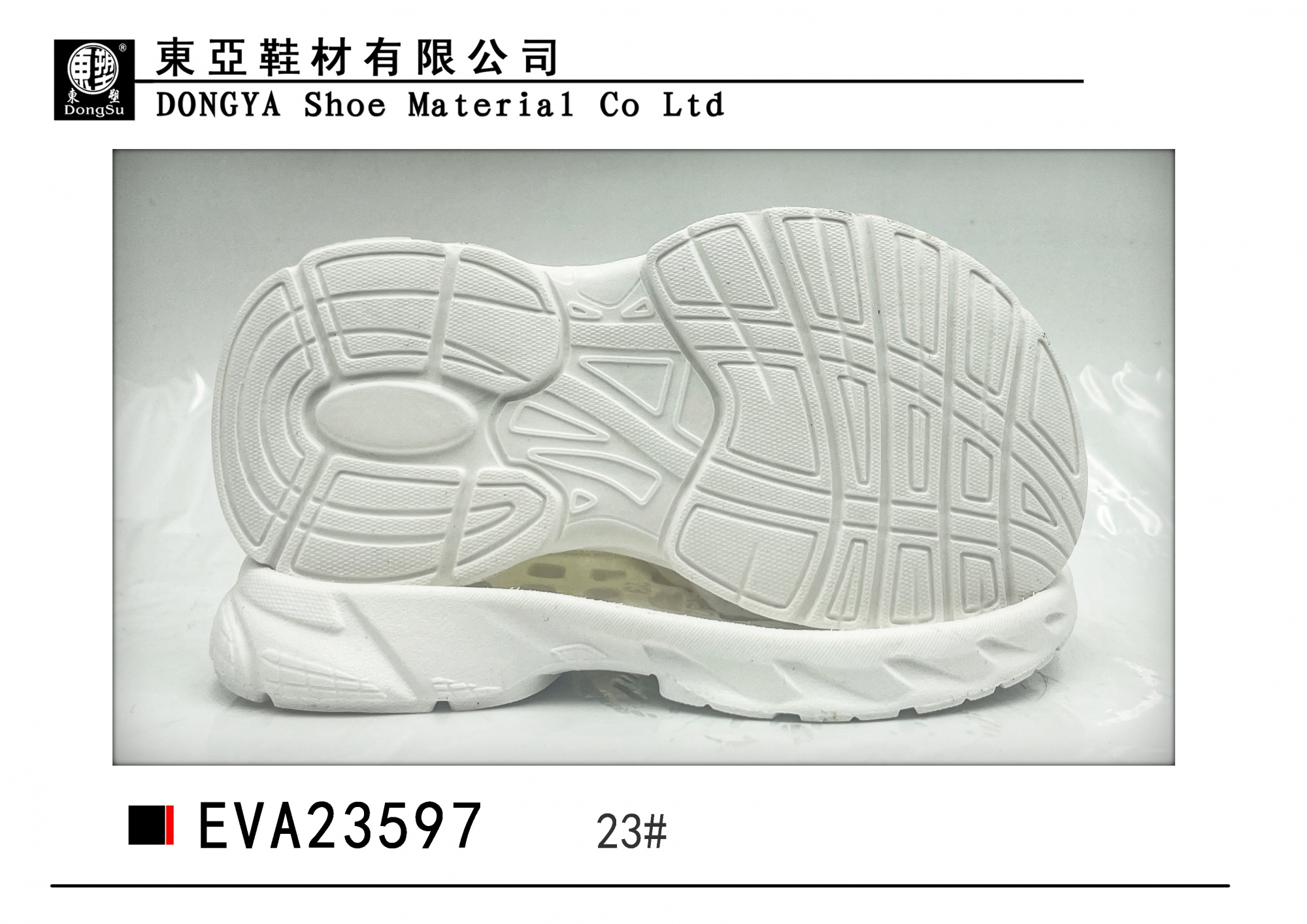 EVA23597-23