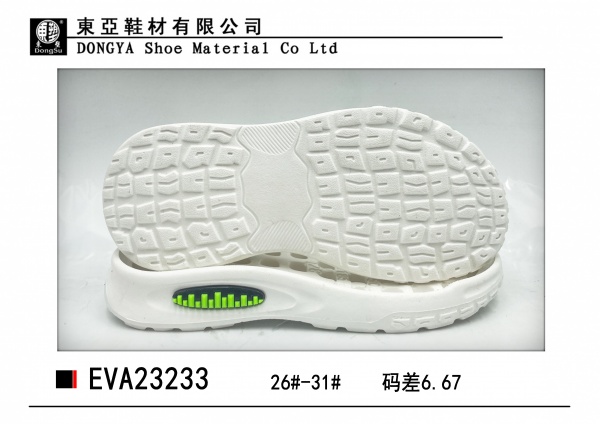 EVA23233-26-31
