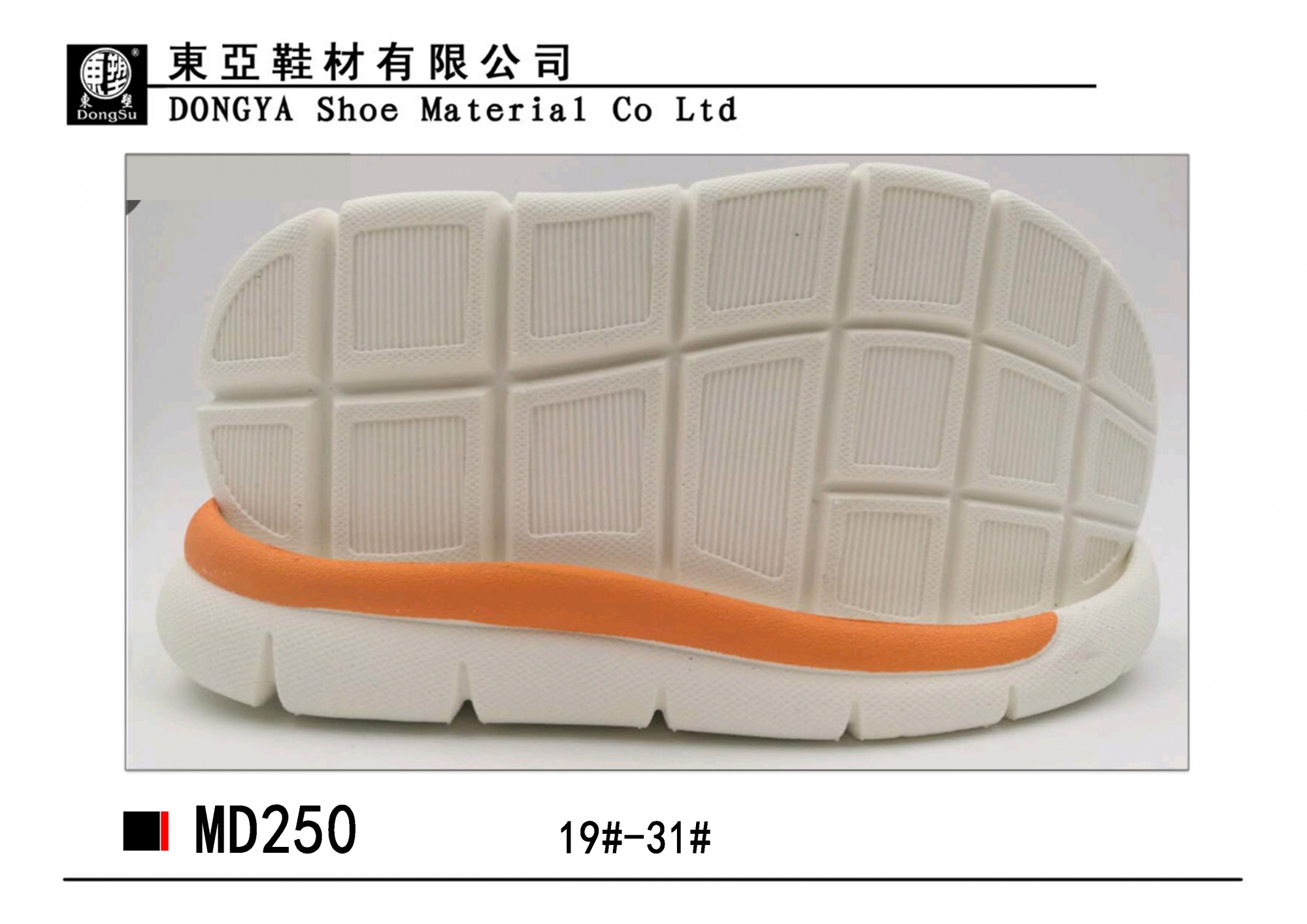 MD250-19-31
