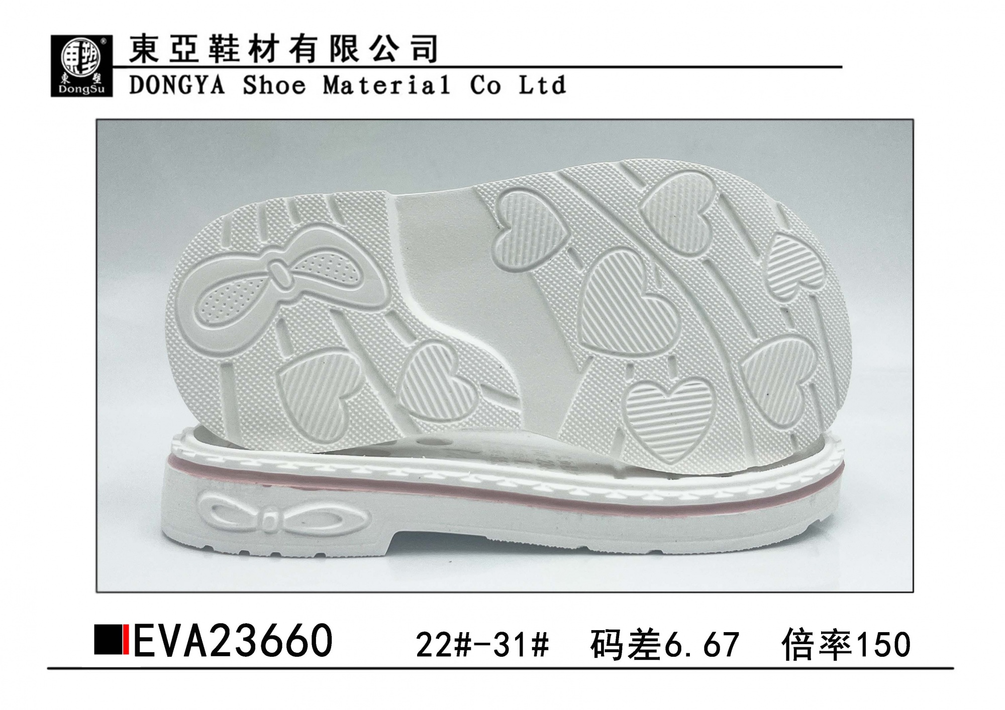 EVA23660-22-31