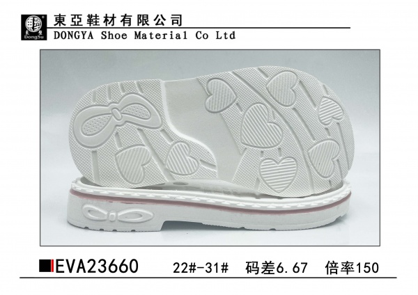 EVA23660-22-31