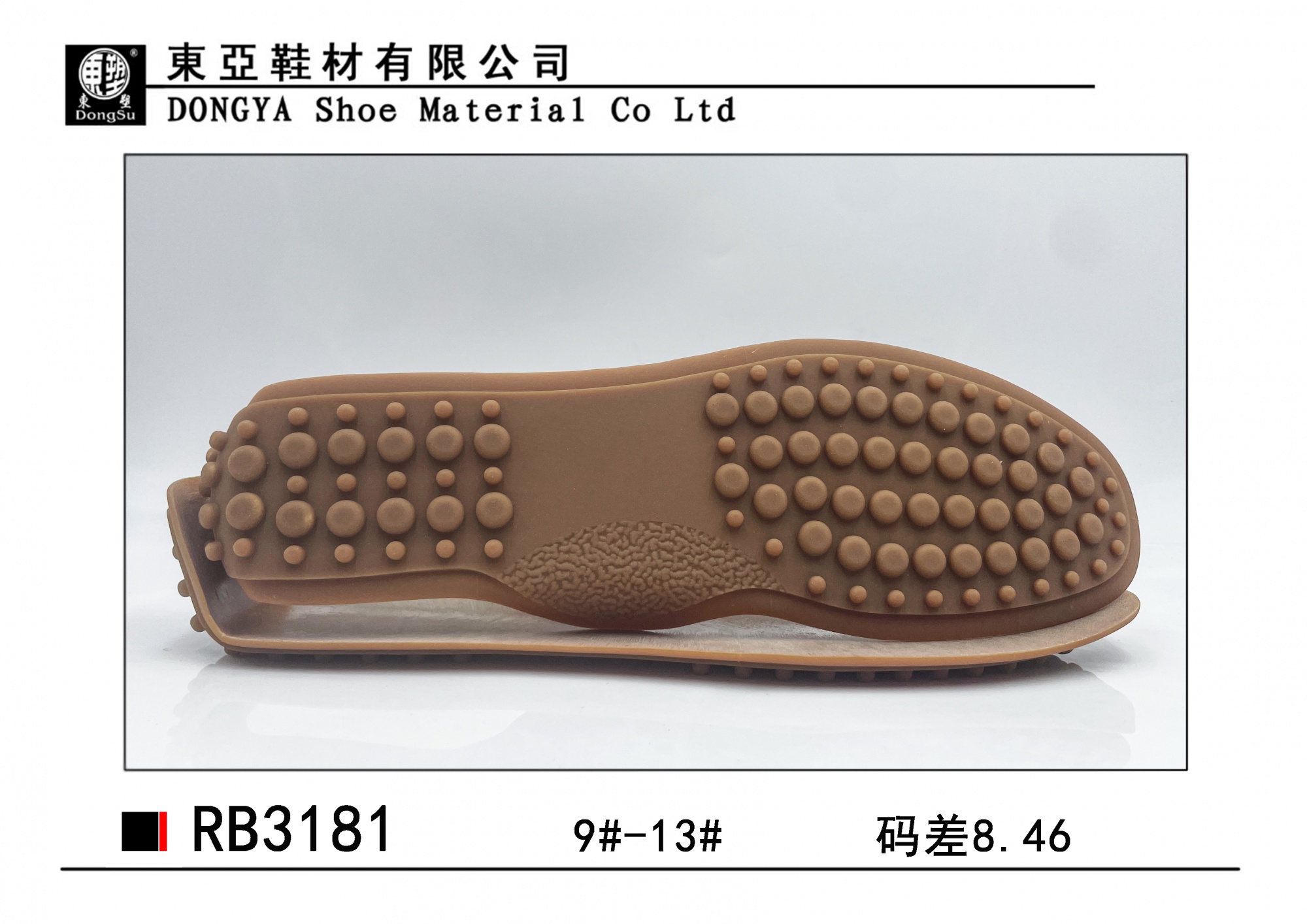 RB3181-9-13