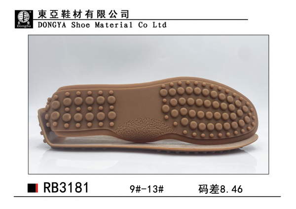 RB3181-9-13