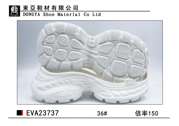 EVA23737-36