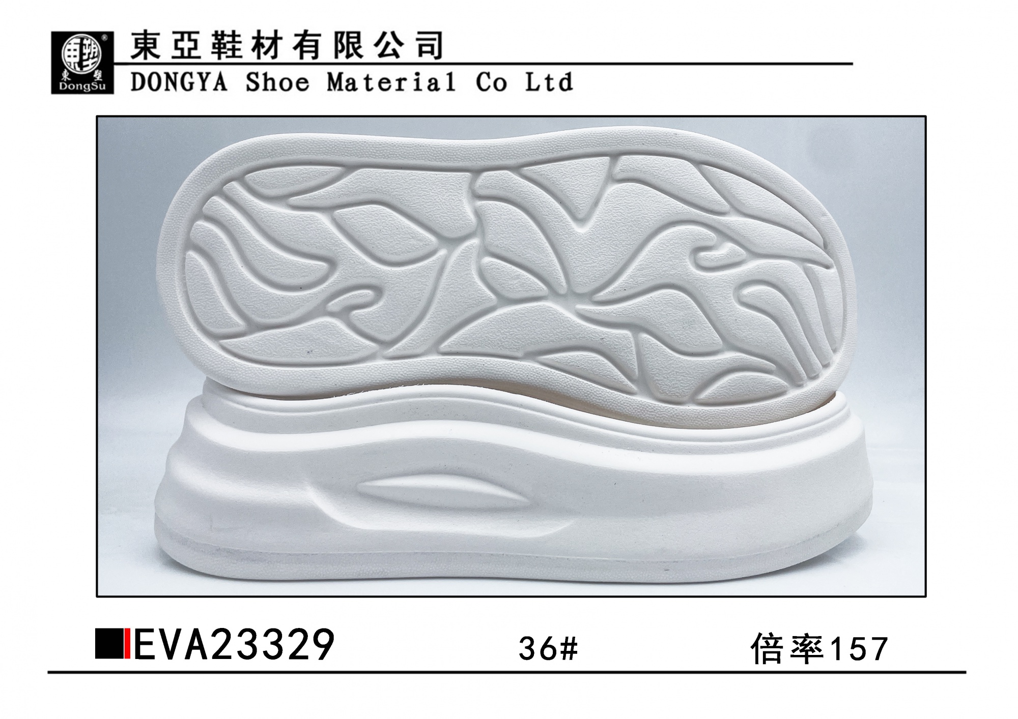 EVA23329-36