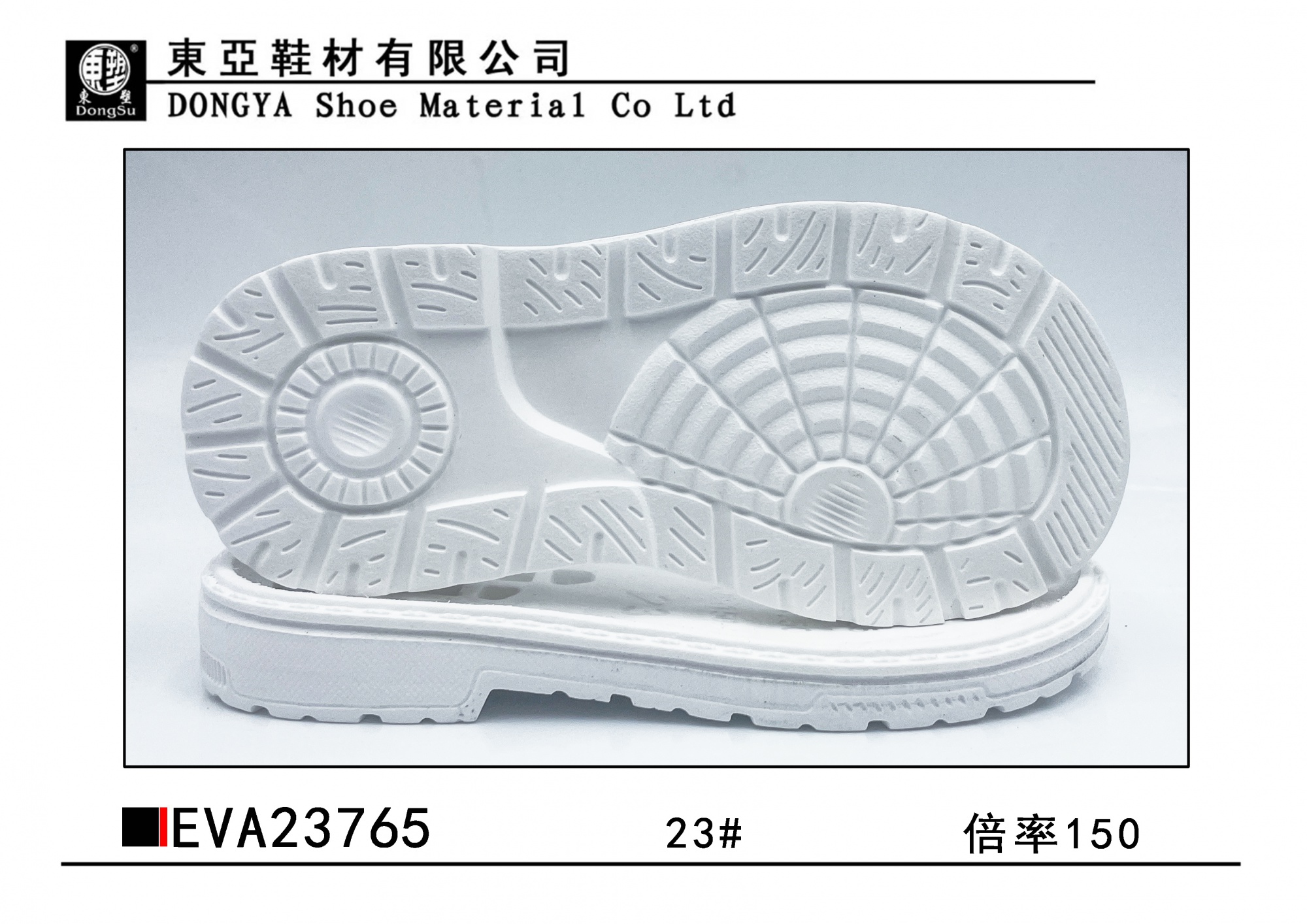 EVA23765-23