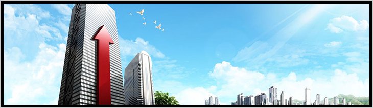 环球转向器