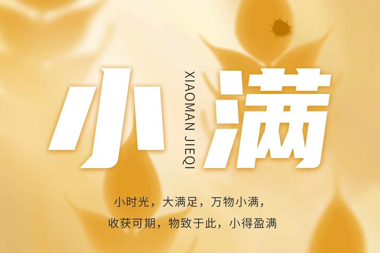 瓦小匠 · 小满 | 雨落屋檐小满时，片瓦匠心护万家。#瓦小匠彩石金属瓦
