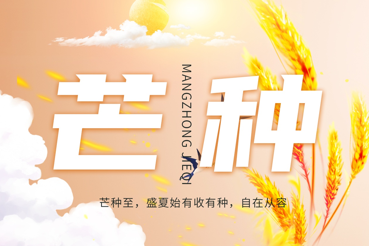芒种耕忙，彩瓦护檐承岁暖；夏时种盛，匠心覆顶御风雨！