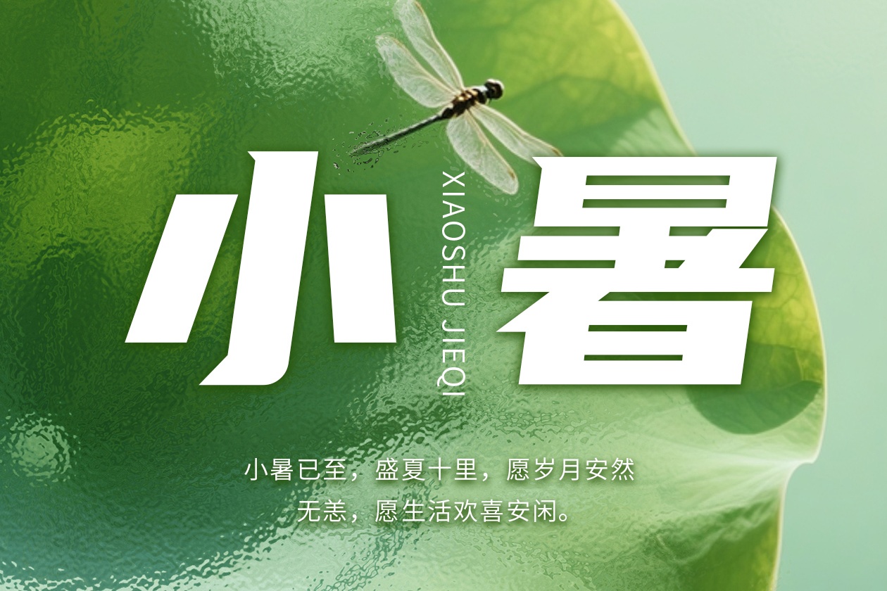 今日小暑