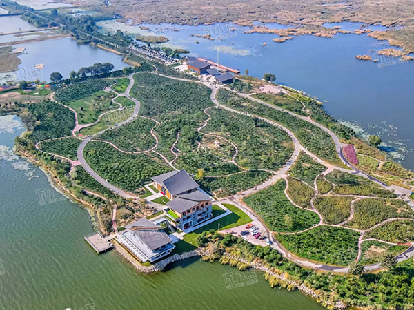 丽波彩石金属瓦案例-河北衡水湖景区樱花岛项目案例