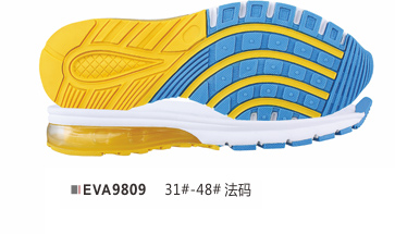 EVA9809-31-48