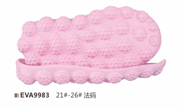 EVA9983-21-26