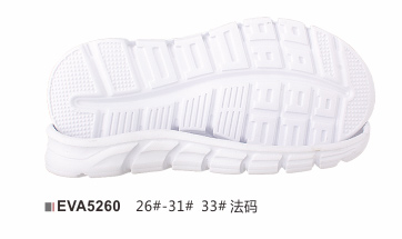 EVA5260-26-31+33