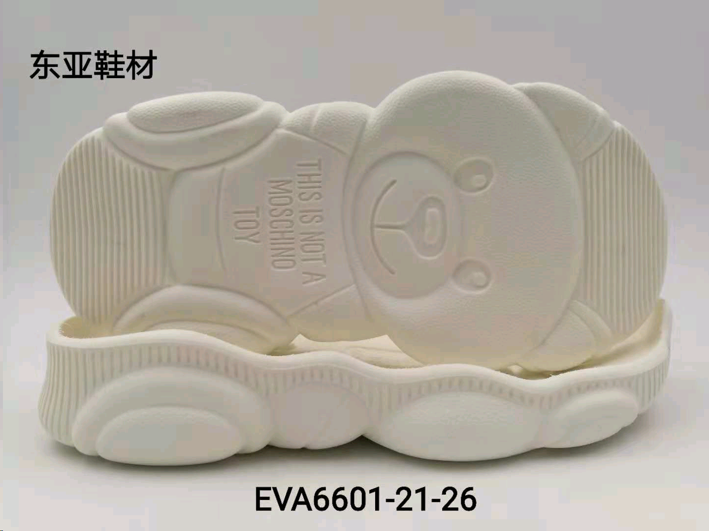EVA6601-21-26