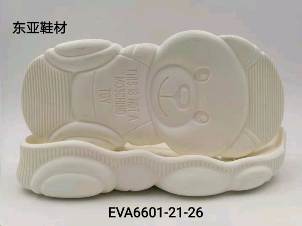 EVA6601-21-26