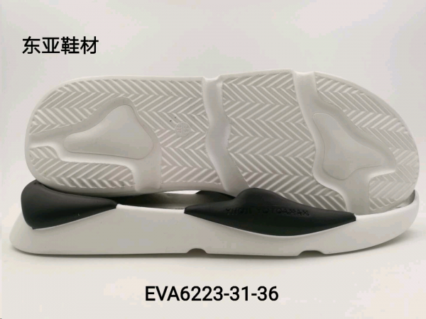 EVA6223-31-36