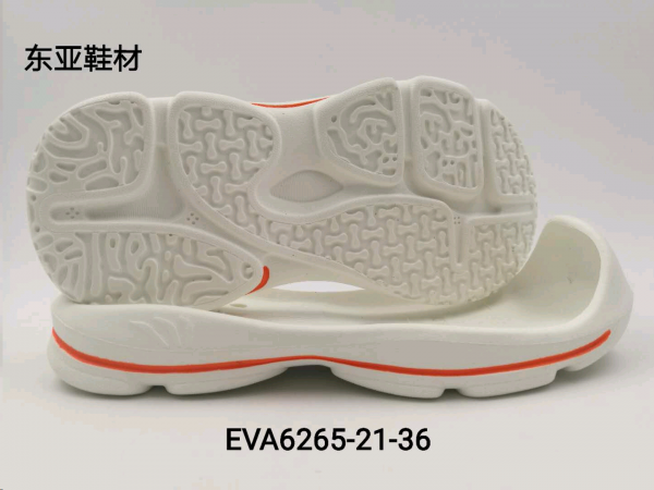 EVA6265-21-36