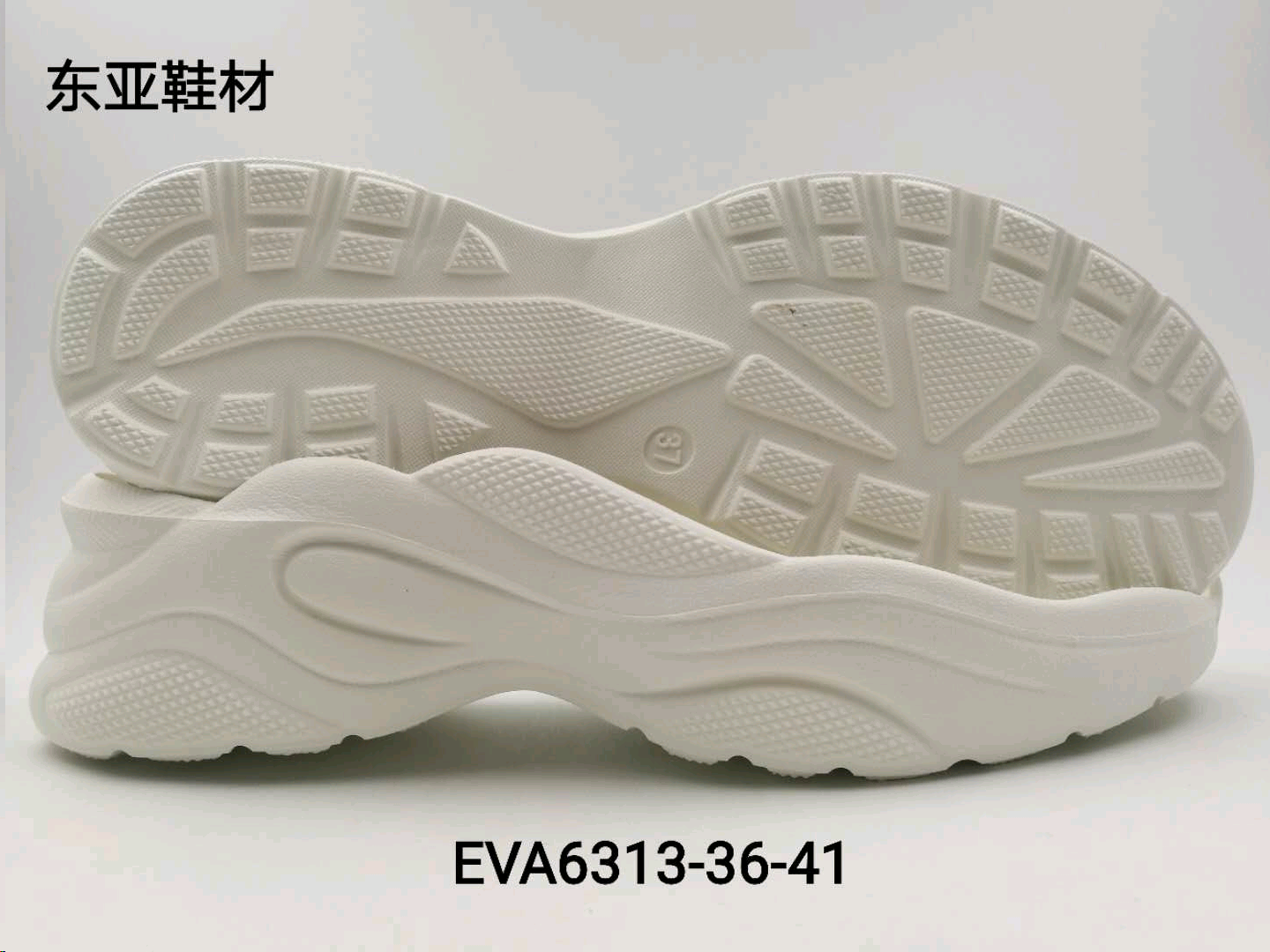EVA6313-36-41