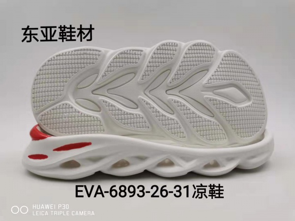 EVA6893-26-31
