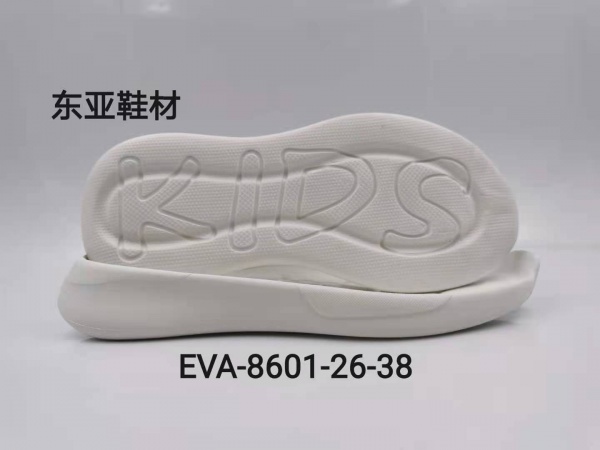 EVA8601-26-38