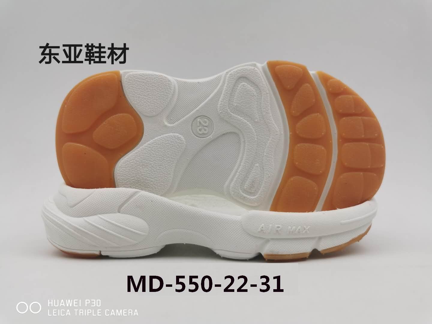 MD550-22-31