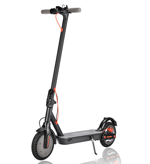 BXY-1